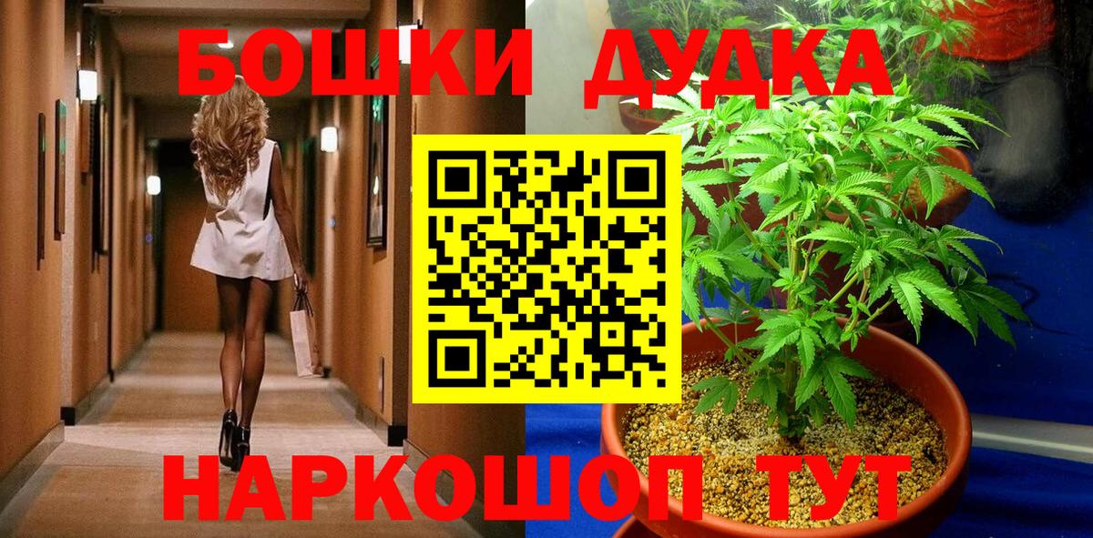 Канабис сатива Медногорск